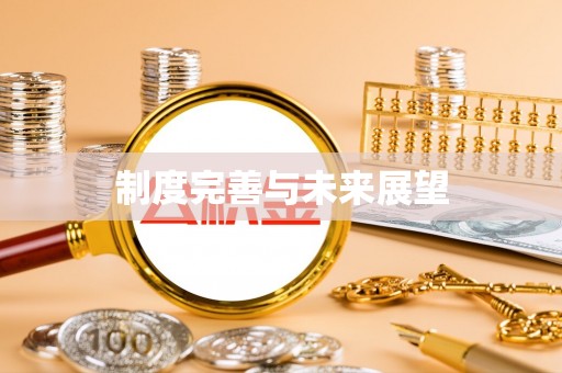 麻山制度完善与未来展望