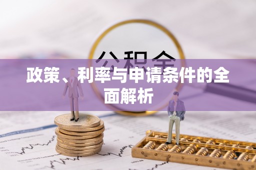 麻山政策、利率与申请条件的全面解析
