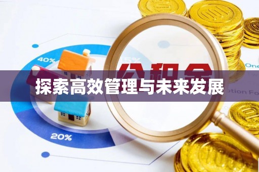 麻山探索高效管理与未来发展