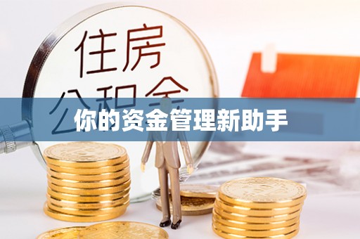 麻山你的资金管理新助手