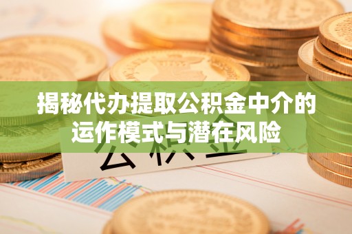 麻山揭秘代办提取公积金中介的运作模式与潜在风险