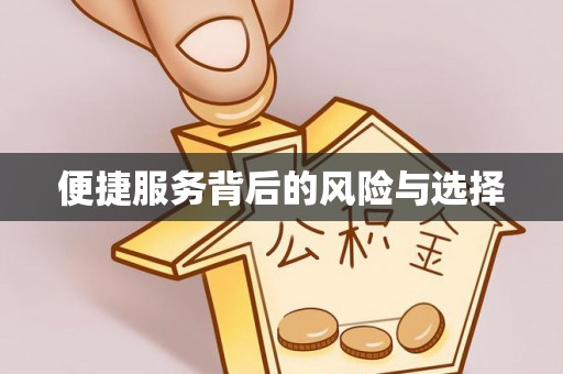 麻山便捷服务背后的风险与选择