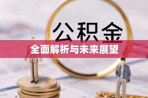 麻山全面解析与未来展望