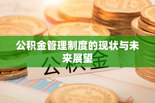 麻山公积金管理制度的现状与未来展望